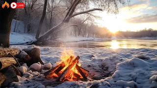 Feu de camp d'hiver 🔥 Snowfall Serenity by the Fire🔥12 Hours Ambiance Fireplace (pas de musique)