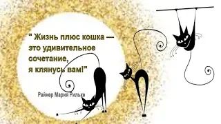 РЕГРЕССИЯ. Исследование темы: КОШКИ [ПРОЕКТ]