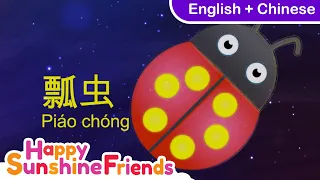 How to say colours in Chinese  颜色 | Simple Chinese Language for all Ages 简单中文学习