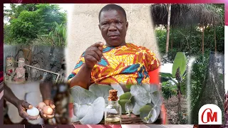 REVEALED!!!"You Will Overcome Any Evil Spirit If You Bath With These Three Leaves"Born Again Okomfo)