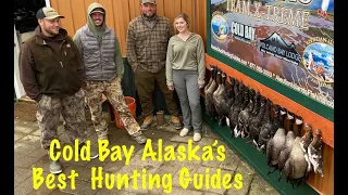Cold Bay Alaska's best Goose hunting Guides