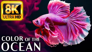 Colors Of The Ocean 8K - Sea Animals for Relaxation, Beautiful Coral Reef Fish in Aquarium- 8K Video