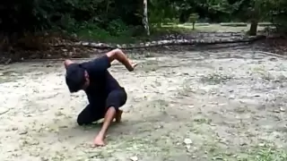 SENI BUNGA HARIMAU SILAT SENI HARIMAU GAYONG