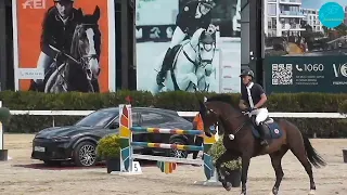 Этап Кубка мира CSI1*-W  FEI Jumping World Cup Eurasian League, 120см. группа 1. Ташкент. 24.04.2024