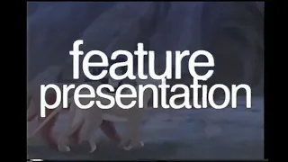 Buena Vista/Disney/Hollywood Pictures/Jim Henson Video/Touchstone Feature Presentation Ids (US & UK)