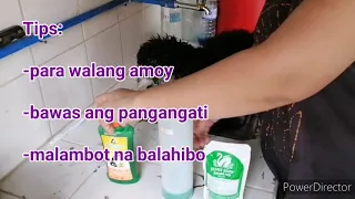 Tips para always mabango ang inyong aso