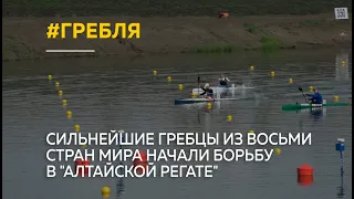 Сильнейшие гребцы из восьми стран мира начали борьбу в "Алтайской регате"