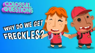 What Causes Freckles? | COLOSSAL QUESTIONS