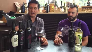 Croatian Wine: Rockstar Winemaker Bruno Trapan