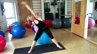 Workout-Ideen mit dem Fit-Ball* 15 Min. Cardio*Kraftübungen*Fatburner & Stabilisation