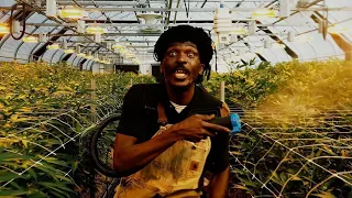 Anthony B - Weed Baby (Official Music Video)