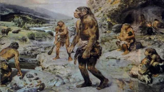 Эволюция человека (рассказывает антрополог Айли Марница)