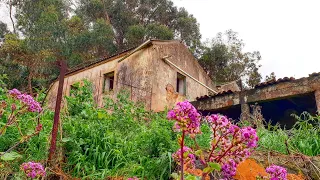 Exploro CASA ABANDONADA en el BOSQUE (Con ARAÑAS) | Lugares Abandonados y URBEX