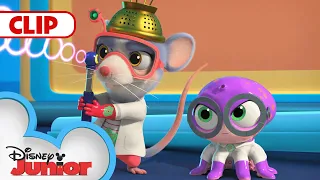 SuperKitties Stop Lab Rat and Otto! | SuperKitties | @disneyjunior