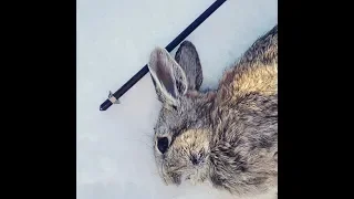 Adder small game heads: Idaho rabbit hunt