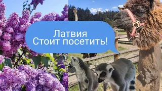 Латвия.Куда поехать в хорошую погоду