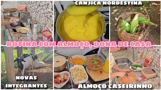 ROTINA COM O ALMOÇO | COLHEITA NO SÍTIO | CANJICA NORDESTINA | E ALMOÇO CASEIRO E DELICIOSO 😋