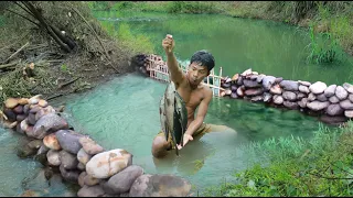 technology build a stone dam to Find  fish