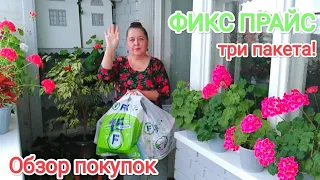 ФИКС ПРАЙС💚 ТРИ ПАКЕТА! Вынесла ВСЁ 😃 Обзор покупок🧐😍