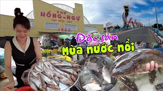 Quá vui chợ Hồng Ngự - nhiều đặc sản hiếm mùa nước nổi miền tây