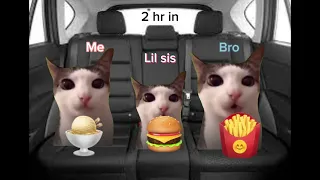 Cat family road trip part 1