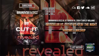 Cut It vs.Stay The Night vs.Muscular (Hardwell Mashup)(HOA YearMix 2016)