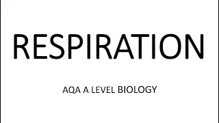 RESPIRATION - AQA A LEVEL BIOLOGY + EXAM QUESTION RUN THROUGH