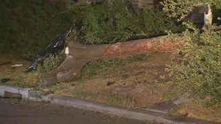 Two carjacking suspects killed after being ejected from vehicle during crash, deputies say