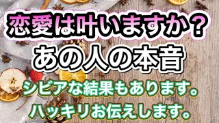 🌹この恋愛は叶いますか❓あの人の本音💝ハッキリお伝えします❣🌈🐦✨✨✨✨