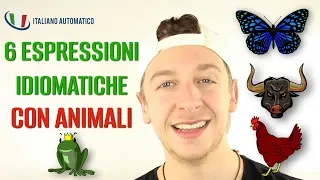 6 Espressioni Idiomatiche Con Animali | Imparare l’Italiano