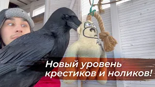 Усложняем тренировку и получаем хороший результат!