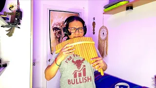 STAND BY ME - Ben E. King - cover panflute by Ernst Cq