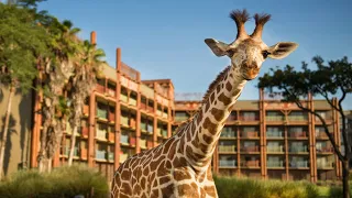 Resort Tour | Disney's Animal Kingdom Lodge and Villas (Jambo House & Kidani Village) - Orlando, FL