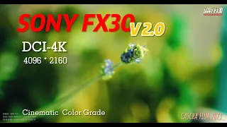 Sony FX30 | V2.0 | DCI 4K | Cinematic color grade video