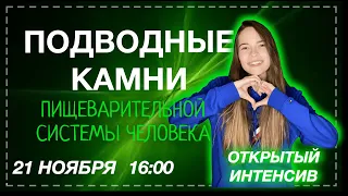 Пищеварительная система человека | Биология с Юлианой Покровской | ЕГЭ 2021