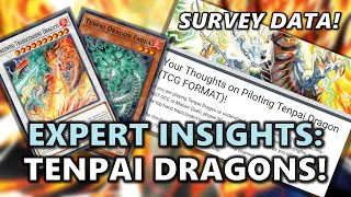 Tenpai Dragon Survey Responses! Strengths, Best Hand Traps & Side Deck Options, How to Beat | LEDE