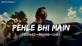Pehle Bhi Main - Lofi Mix | Slowed + Reverb | Vishal Mishra | Animal | Ranbir Kapoor | SSR Lofi