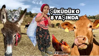 8 YAŞINDA DAĞDA KALIYOR / ONUN YAPTIĞI İŞLERE AKIL ALMIYOR / ONUN HAYALİ HEMŞİRE OLMAK / BELGESEL