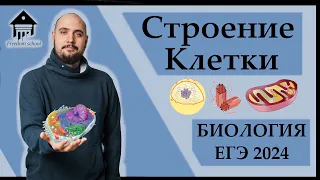 Строение клетки - ОРГАНОИДЫ для ЕГЭ |ЕГЭ БИОЛОГИЯ 2024|Freedom|