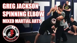 Greg Jackson MMA: Spinning Elbow Strike Set Up - MAIA Super Show 2015