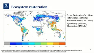 Forest strategies for climate mitigation in Australia and the EU