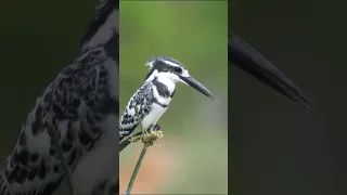 Самая красивая мелодия в мире! Этот трек можно слушать вечно! Отличная музыка Сергей Грищук#1