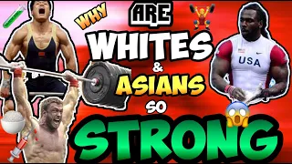 WHY DO WHITE & ASIAN MEN DOMINATE WEIGHTLIFTING - ARE THEY STRONGER? (SLAVS, BALKANS, EURASIANS etc)