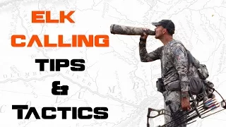 How to Call Elk and Tips for Locating Bulls