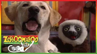 🐒  Zoboomafoo 253 - Can You Feel It? - Animal shows for kids | Full Episode | HD 🐒