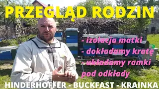 Przegląd rodzin, izolacja matki, zakładamy kratę, układamy ramki #przegląd #rodzin #pszczleich