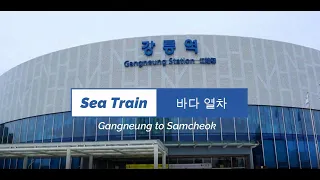 Gangwondo's Sea Train (바다열차) Adventure