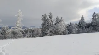 Frozen winter solo hunting trip - Pard NV007s - Tikka t3x veil wideland