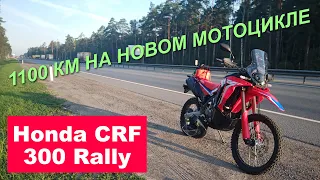 Обзор Honda CRF300 Rally: 1100 км на новом мотоцикле / Suha82