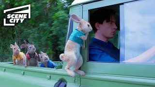 Peter Rabbit: Wet Willy Rescue (James Corden, Margot Robbie)